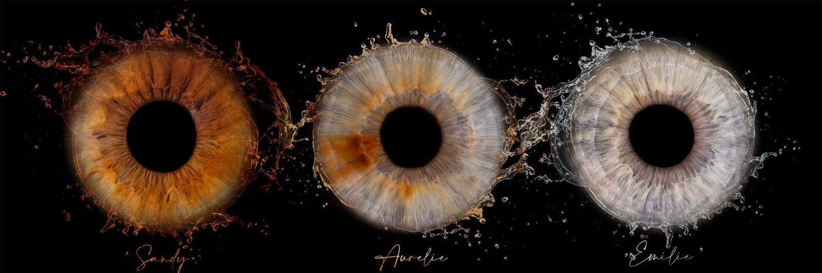 Photo iris Oise par Gog Pix - Photographe professionnel à Sainte-Geneviève, Oise, Paris, Ile de France