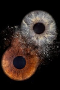 PHOTO IRIS OISE PAR GOG PIX