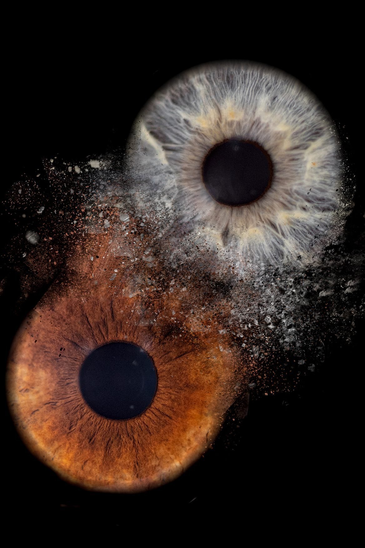 PHOTO IRIS OISE PAR GOG PIX