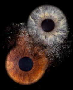 Photo Iris par Gog Pix - Sainte-Geneviève, Oise, Paris, Ile de France