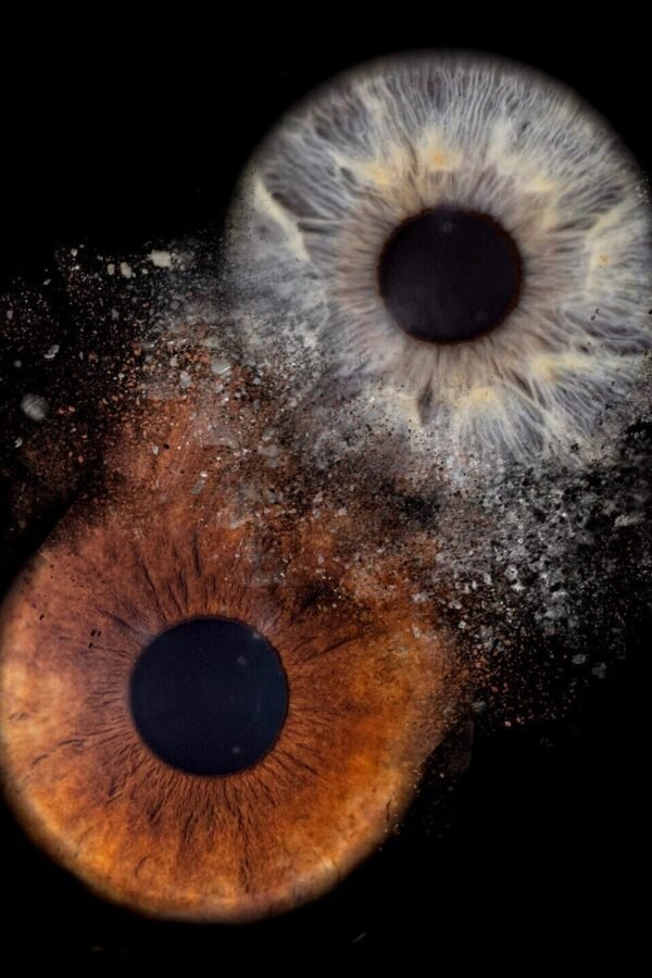 Photo Iris oise par Gog Pix - Sainte-Geneviève, Oise, Paris, Ile de France