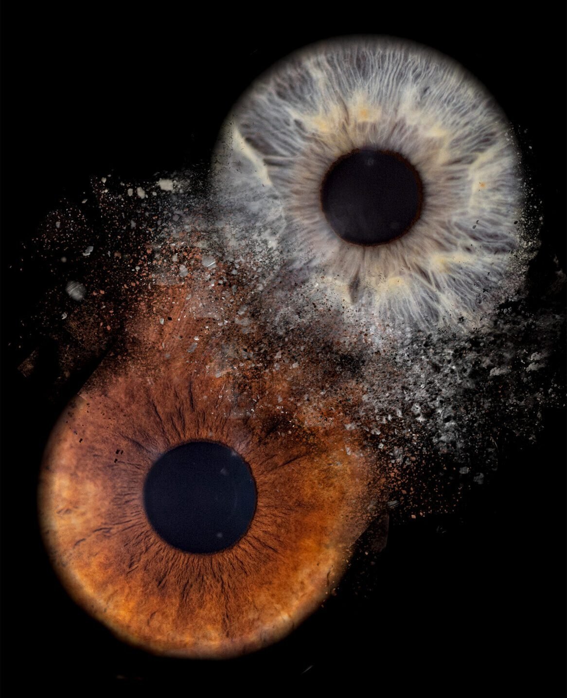 Photo Iris oise par Gog Pix - Sainte-Geneviève, Oise, Paris, Ile de France