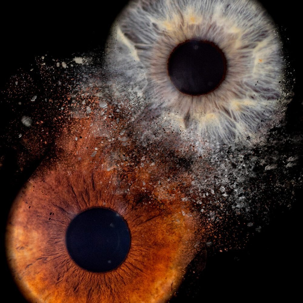 PHOTO IRIS OISE PAR GOG PIX - PHOTOGRAPHE PROFESSIONNEL SAINTE-GENEVIÈVE