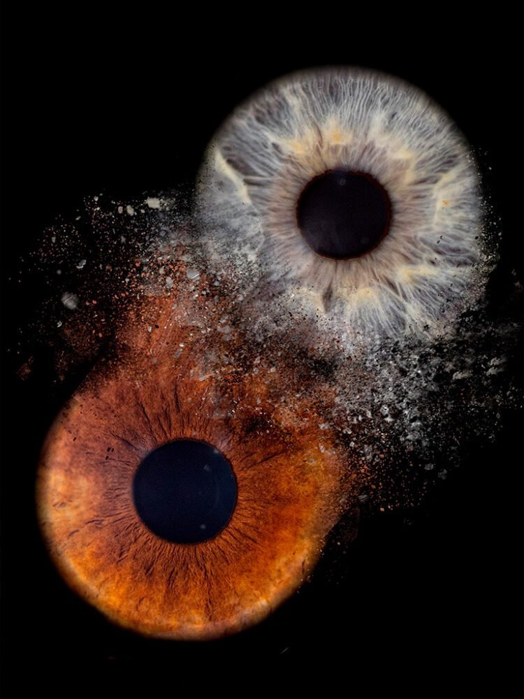 Photo Iris oise par Gog Pix - Sainte-Geneviève, Oise, Paris, Ile de France