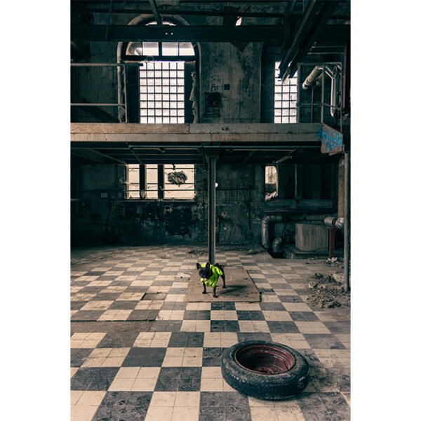 Le Gardien Tirage photo Gog Pix Fine Art exclusif - Photographe Paris, Oise, Ile-de-France – photographie d’art industrielle