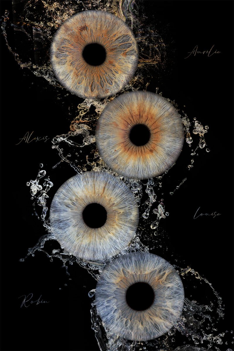 Photo iris Oise, Sainte-Geneviève - Gog Pix, photographe professionnel